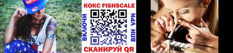 Купить закладки  Железногорск-Илимский  COCAIN Fish Scale 